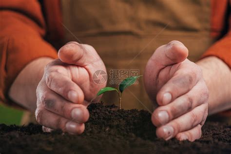 植物的用途|“超级植物”能为人类带来什么好处？